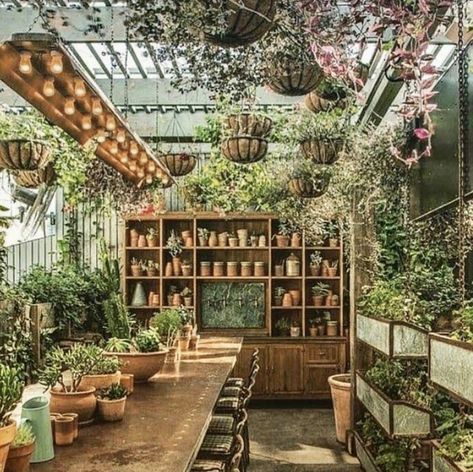 The Grounds Of Alexandria, Greenhouse Interiors, Home Greenhouse, Lush Lawn, Meteor Garden 2018, Violet Grey, Simple Interior, The Greenhouse, Greenhouse Gardening