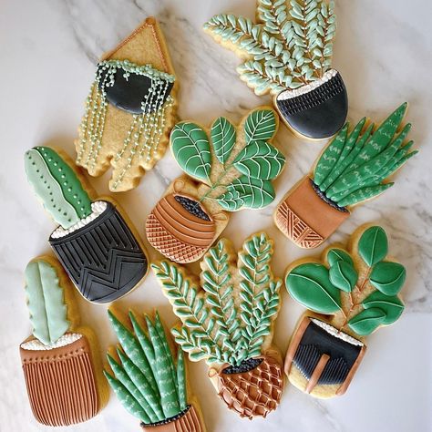 Plant Themed Cookies, Succulent Birthday Cookies, Succulent Decorated Cookies, Plant Sugar Cookies, Plant Cookies Decorated, Succulent Sugar Cookies, Succulent Cookies Decorated, Plant Party Food, Plant Cookies