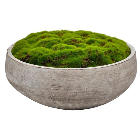 PRICES MAY VARY. Compact yet robust, this bowl boasts an impressive 8-inch diameter, 4.5-inch height, and a weight of just over 4 lbs. Replicates the lifelike texture and verdant tone of moss. Perfectly suited for coffee tables, dining tables, or an office desk. Placed in a hand-painted cement pot, adding a touch of luxury to the overall aesthetic. Presents a wonderful gift option for friends, neighbors, and coworkers. Demands no watering, guaranteeing simple and convenient upkeep. Elevate your Cement Bowl, Moss Bowl, Artificial Hand, Moss Planter, Moss Plant, Maximalist Style, Maximalist Design, Concrete Bowl, Cement Pots