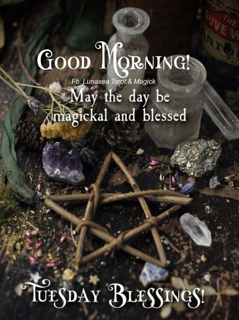 Happy Halloween Quotes, Shadow Book, Tuesday Greetings, Night Witches, Witch Pictures, Good Morning Tuesday, Witch Quotes, Tuesday Quotes, Magic Day