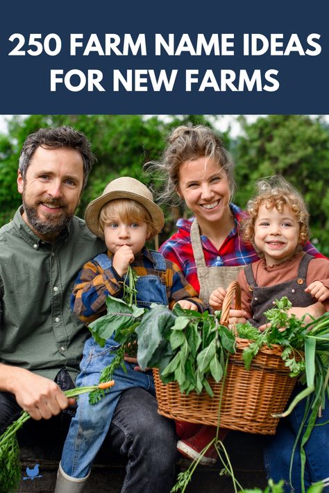 Just starting your farm, and want to find farm name inspiration? Check out our comprehensive list of 250 farm name ideas on the blog! Cute Farm Stand Names, Homestead Names Ideas, Homestead Names, Farm Names Ideas, Farm Shop Ideas, Farm Names, Farm Market Ideas, Farm Branding, Vegetable Farming