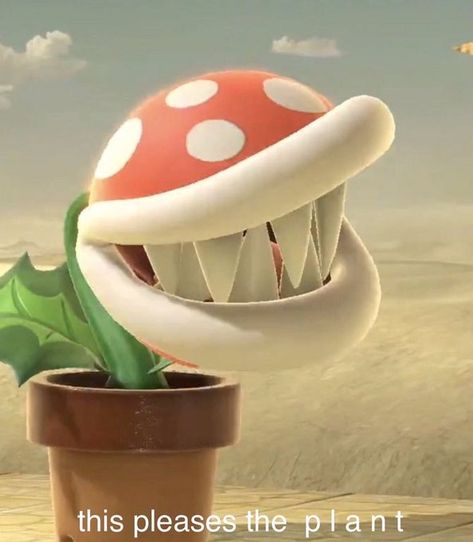 Mario Piranha Plant, Piranha Plant, Smash Ultimate, Plant Icon, Got Memes, Video Game Memes, Super Smash Brothers, Smash Brothers, Wholesome Memes