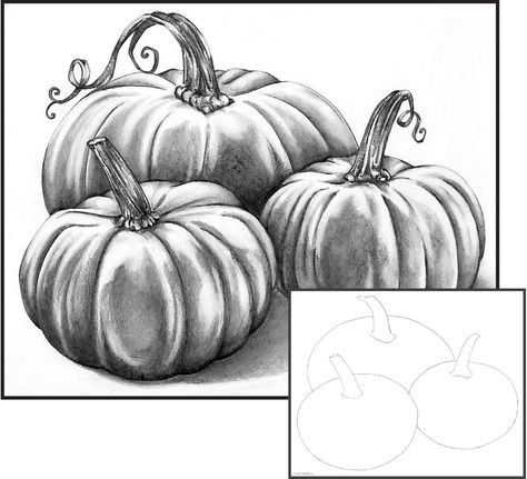 Graphite Pencil: Pumpkin Patch Fall Pencil Drawings, Pumpkin Drawings, Pumpkin Canvas Painting, Drawing Landscapes, Pencil Drawing Pictures, Pumpkin Sketch, Pumpkin Paintings, Pumpkin Canvas, Fall Drawings