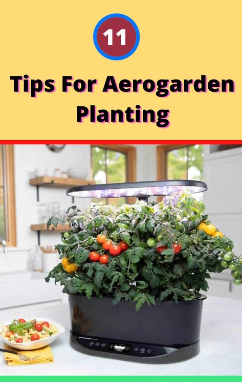 Aero Garden Tips, Aero Garden Hack, Aero Garden Ideas, Aerogarden Shelf Ideas, Aerogarden Hack, Aerogarden Ideas, Aerogarden Diy, Apartment Homesteading, Aero Garden