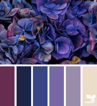 { flora hues } image via: @traceylbolton The post Flora Hues appeared first on Design Seeds. Color Seeds, Design Seeds Color Palette, Seeds Color Palette, Seeds Color, Purple Color Palettes, Blue Color Palette, Palette Design, Color Schemes Colour Palettes, Design Seeds