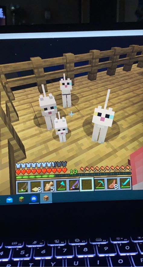 #minecraft #minecraftcat #kittens #cats Minecraft Setup, Mike Core, Minecraft Rp, Minecraft Gameplay, Playing Minecraft, How To Play Minecraft, Ideas Minecraft, Minecraft Crafts, Minecraft Creations