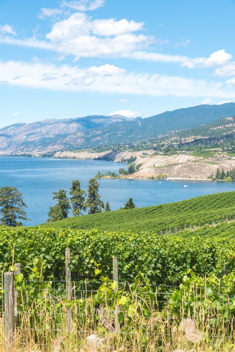 Okanagan Lake, Summer View, Okanagan Valley, Landscape View, Lake Living, British Columbia Canada, Summer Photos, Blue Skies, Lake Life