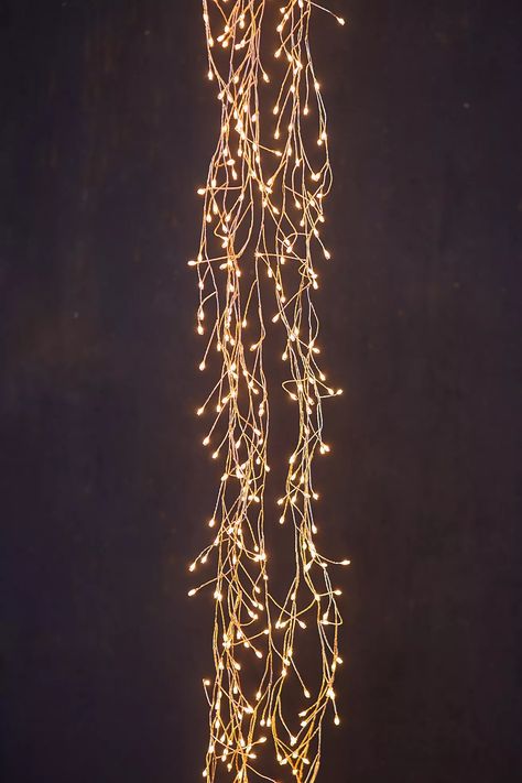 Stargazer Cascade Falls | Anthropologie Cascade Falls, Hanging Christmas Lights, Sparkling Lights, Decorative Lighting, Bhldn Weddings, Creative Living, Hand Poured Candle, Christmas Mood, Twinkle Lights