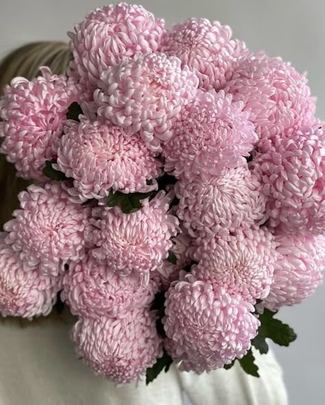 Chrysanthemum Bouquet, Dahlia Bouquet, Boquette Flowers, Flower Business, Nothing But Flowers, Chrysanthemum Flower, Gift Flower, Flower Therapy, Beautiful Bouquet Of Flowers