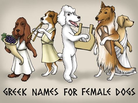 50 Greek Goddess Names That Make Unique Female Dog Names Female Goddess Names, Greek Goddess Names, Mythological Names, Dogs Names List, Girl Dog Names, Female Dog Names, Best Dog Names, Greek Goddesses, Warrior Names