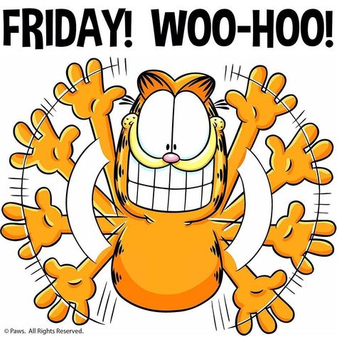 Friday Cartoon, Garfield Quotes, Garfield Pictures, Garfield The Cat, Garfield Cartoon, I Hate Mondays, Garfield Cat, Garfield Comics, Morning Memes