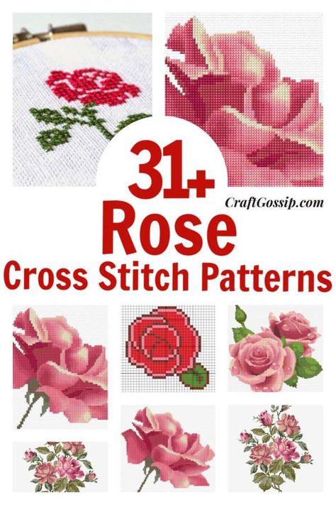 This roundup is for 31 Cross stitch patterns that only focus on Roses. Traditional garden style rose bloom charts are very popular so limiting this list to 31 was quite hard. Though if you find a great Cross stitch Read More ... Counted Cross Stitch Patterns Free, Rose Cross Stitch, Pretty Cross Stitch, Rose Cross Stitch Pattern, Traditional Rose, Unique Cross Stitch, Free Cross Stitch Charts, Cross Stitch Tutorial, Floral Cross Stitch Pattern