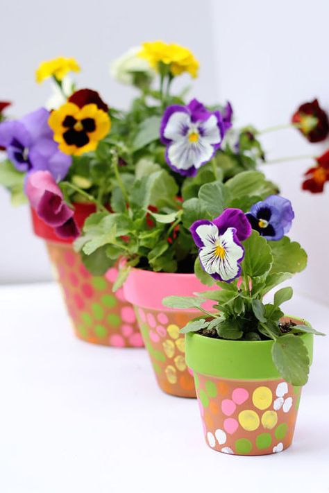 Give flower pots a sentimental touch by having the kids add their fingerprints around the outside with different colored paint. Get the tutorial at Kids Stuff World. Springtime Crafts, Diy Gifts To Make, Mother's Day Projects, Fleurs Diy, Flower Pot Crafts, Painted Flower Pots, Diy Mothers Day Gifts, Mother's Day Diy, Finger Painting