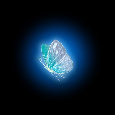 Glowing Butterfly, New Png, Butterfly Photo, Butterfly Png, Photoshop Digital Background, Blurred Background Photography, Blur Background Photography, Pink Background Images, Photo Background Images Hd