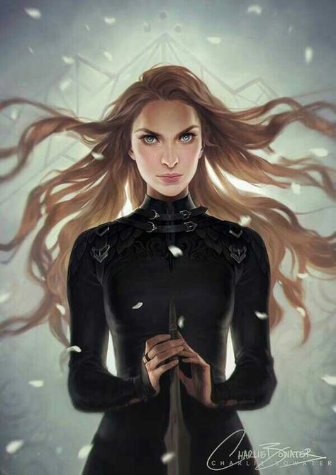 Feyre in Illyrian fighting leathers Charlie Bowater, Feyre And Rhysand, A Court Of Wings And Ruin, Throne Of Glass Series, Sarah J Maas Books, A Court Of Mist And Fury, Look At The Stars, Crescent City, Throne Of Glass