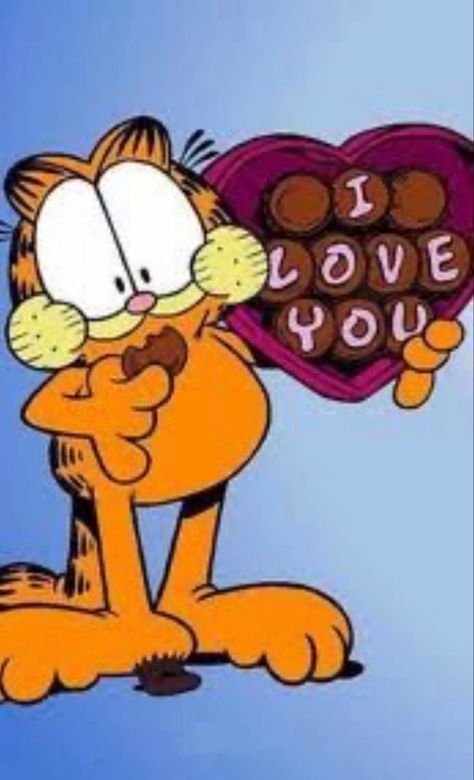 Silly Orange Cat, Garfield Quotes, Garfield 2, Garfield Pictures, Garfield Images, Garfield Odie, Garfield Cartoon, Funny Animals Videos, Garfield And Friends