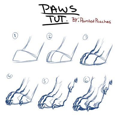 How To Draw Wolf Paws, Dog Paws Drawing Reference, Dog Paw Study, Hand Paws Reference, Canine Paws Reference, Wolf Tutorial Drawing, Canine Drawing Tutorial, Wolf Paw Reference, How To Draw A Wolf Step By Step Easy