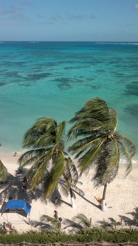 San Andres... Colombia San Andreas Colombia, Colombia Landscape, Palm Tree Sunset, Search And Find, South America Travel, Beach Paradise, San Andreas, Most Beautiful Beaches, Travel Sites