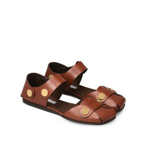 Collection Flat Sandals in Tan - STELLA MCCARTNEY Luxury Brown Footbed Sandals With Buckle Closure, Brown Outdoor Sandals With Buckle Closure, Spring Buckle Closure T-strap Footbed Sandals, Casual Brown T-strap Sandals With Buckle Closure, Brown Leather T-strap Sandals With Buckle Closure, Flat Sandals, Stella Mccartney, Womens Sandals, Buckle