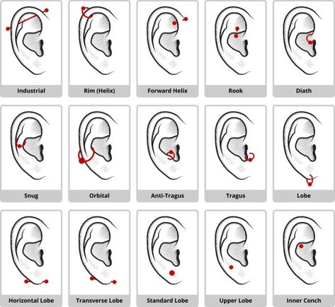 Ear Piercing Diagram, Auricle Piercing, Snug Piercing, Ear Piercings Chart, Piercing Chart, Double Ear Piercings, Types Of Ear Piercings, Ear Lobe Piercings, Helix Piercings