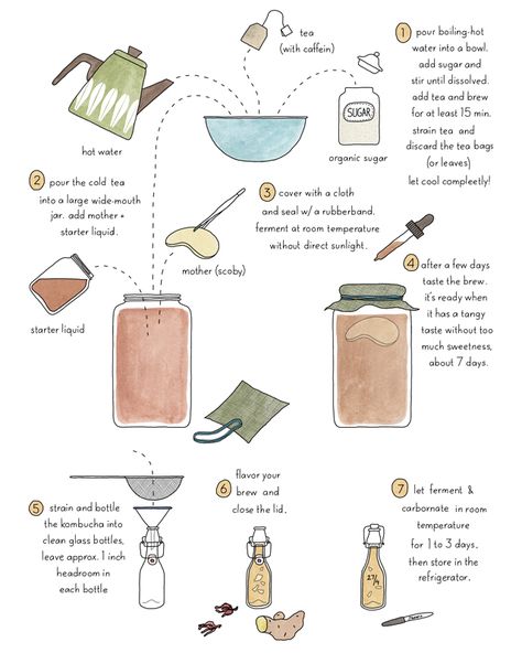 KOMBUCHA RECIPE | JOHANNA KINDVALL Kumbacha Recipe, Butyrate Foods, Kombucha Mother, Kombucha Starter, Kombucha Flavors, Kombucha Scoby, Healthy Soda, Homemade Kombucha, Kombucha Recipe