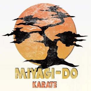 Crane Kick, Okinawan Karate, Miyagi Do, Cobra Kai Wallpaper, Martial Arts Forms, Goju Ryu, Handsome Italian Men, The Karate Kid, Karate Uniform