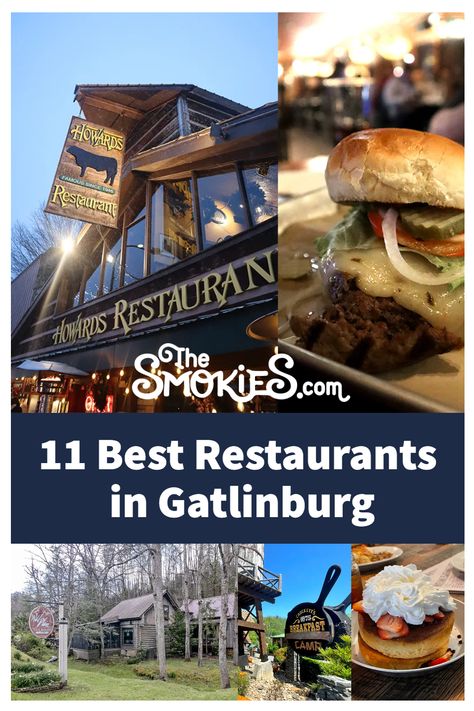 Discover our list of the top 11 must-eat spots in town, perfect for a scrumptious meal with friends, family, or that special someone. You won't want to miss these tasty gems! 👩‍♀️👨‍🍳 Click here: https://www.thesmokies.com/best-restaurants-gatlinburg/ 🍽️ Atrium Restaurant, Gatlinburg Restaurants, Gatlinburg Tennessee Vacation, Wild Plum, Gatlinburg Vacation, The Greenbrier, Chicken Kitchen, Kid Friendly Restaurants, Southern Cuisine