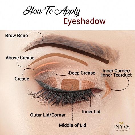 Gold Eye Makeup Step By Step, Different Eye Shadow Styles, Eyeshadow Techniques Step By Step, Eye Makeup Theory, Hooded Eye Makeup Guide, Makeup Theory Book, How To Apply Eye Shadow To Hooded Eyes Makeup Tutorials, Partially Hooded Eye Makeup Tutorial, Learn Makeup Step By Step How To Apply