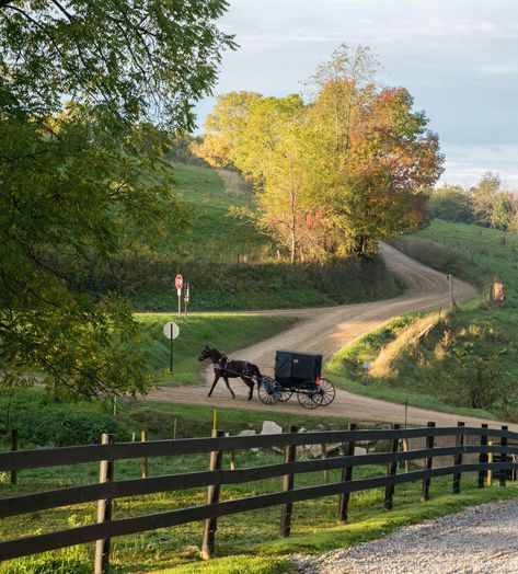 Amish Country Ohio, Holmes County Ohio, Local Map, Ohio Map, Perfect Road Trip, Horse And Buggy, Amish Country, Cultural Activities, Alpha Phi