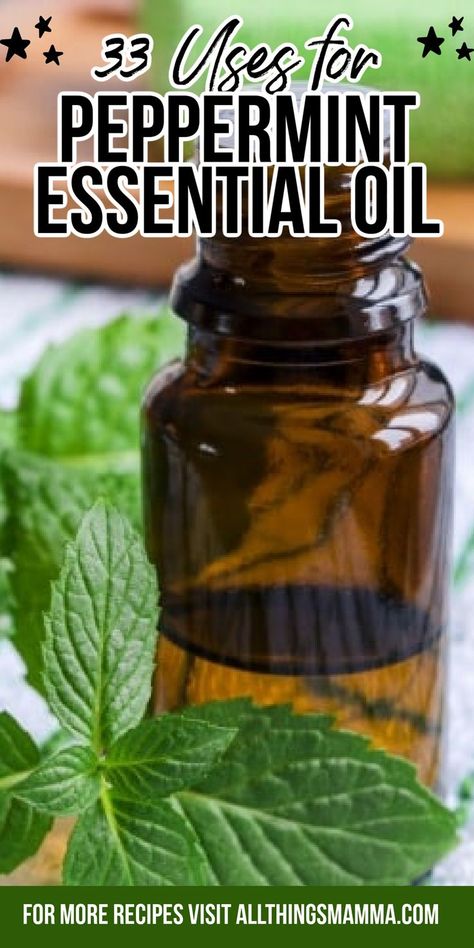 peppermint essential oil on a table Uses For Peppermint Essential Oil, Peppermint Essential Oil Uses Diffuser, Essential Oil Medicinal Uses, How To Use Peppermint Essential Oil, How To Make Peppermint Oil, Peppermint Extract Recipes, Diy Peppermint Oil, Peppermint Oil For Skin, Peppermint Essential Oil Recipes