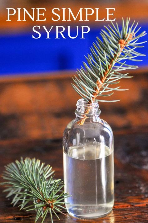 Pine Syrup, Warm Winter Cocktails, Christmas Flavors, Shrub Recipe, Simple Syrup Recipe, Honey Bourbon, Craft Cocktail Recipe, Low Carb Cocktails, Liquor Recipes