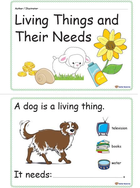 A printable concept book for children to identify what living things need and become authors and illustrators of their own little books. What Do Animals Need Kindergarten, Needs Of Living Things Kindergarten, What Animals Need To Live Kindergarten, Living And Non Living Things Worksheets, English Conversation For Kids, Cycle For Kids, Living And Nonliving, Posters Classroom, Kindergarten Reading Worksheets