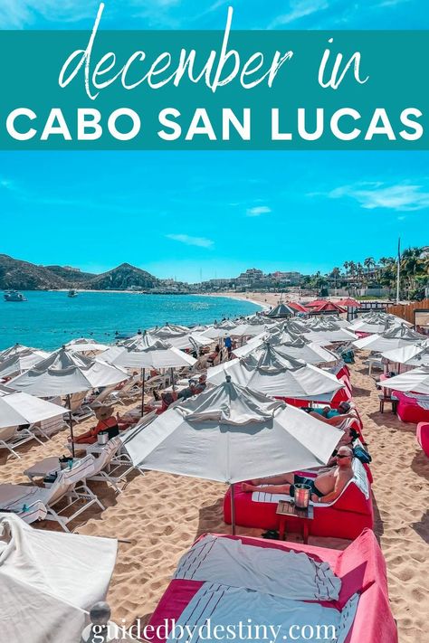 Mexico In December, Best Tropical Vacations, Cabo Vacation, Swimming With Whale Sharks, Cabo San Lucas Mexico, Kayak Tours, Winter Getaway, San Lucas, Cabo San Lucas