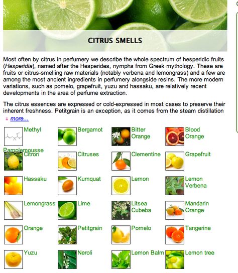 CITRUS NOTES -- Most often by citrus in perfumery we describe the whole spectrum of hesperidic fruits (Hesperidia), named after the Hesperides, nymphs from Greek mythology. These are fruits or citrus-smelling raw materials (notably verbena and lemongrass) and a few are among the most ancient ingredients in perfumery alongside resins. More modern variations like pomelo, grapefruit & yuzu are relatively recent developments in perfume extraction.  More info at link:http://www.fragrantica.com/notes/ Best Citrus Perfume For Women, Citrus Fresh Essential Oil, Citrus Smell, Citrus Sinensis, Citrus Fragrance, Perfume Making, Citrus Scent, Greek Mythology, Lemon Grass