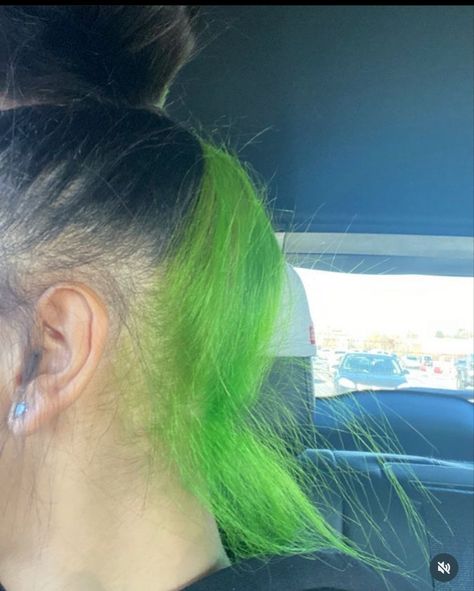 Hair ideas Green Skunk Stripe, Blue Natural Hair, Hair Dye Videos, Peekaboo Hair Colors, Hair Stripes, Green Hair Dye, Skunk Stripe, Natural Hair Bun Styles, Hair Color Underneath