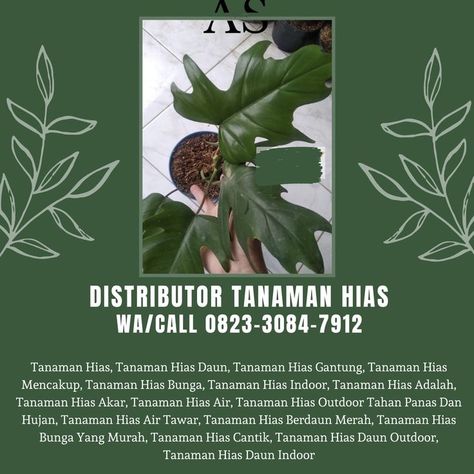 Distributor tanaman hias langka dan mahal 2021 di Batu Malang, Distributor tanaman hias mini di Batu Malang, Distributor tanaman hias outdoor di Batu Malang, Distributor tanaman hias outdoor tahan panas di Batu Malang, Distributor tanaman hias outdoor yang mudah dirawat di Batu Malang, Distributor harga tanaman hias di Batu Malang, Distributor jual tanaman hias di Batu Malang, Distributor gambar tanaman hias di Batu Malang, Distributor jual tanaman hias kirim di Batu Malang, Distributor tempat j Tanaman Hias Outdoor, Malang, Plants, Movie Posters, Art, Film Posters