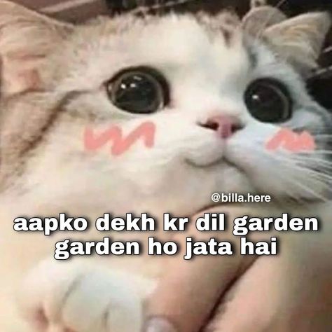 Romantic Words For Her, Punjabi Funny Quotes, Funny Flirting Quotes, Funny Cat Jokes, Funny Compliments, Funny Dialogues, Funny Words To Say, Desi Humor, Funny Cartoons Jokes