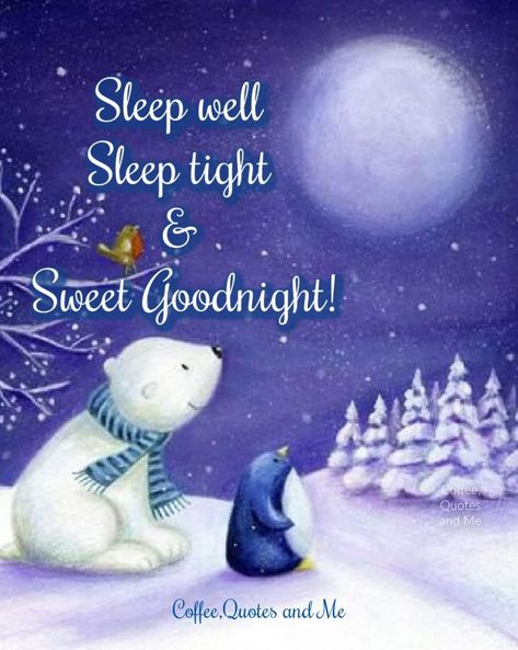 Good Night Winter Images, Winter Good Night, Good Night Prayers And Blessings, Good Night Love You, Good Night Prayers, Good Night Cat, Goodnight Sleep, Prayers And Blessings, Good Evening Greetings