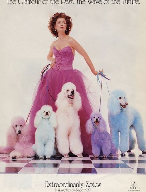 Barbie Y Ken, Vintage Poodle, Pink Poodle, Poodle Puppy, Arte Inspo, Standard Poodle, Poodle Dog, Toy Poodle, 영감을 주는 캐릭터