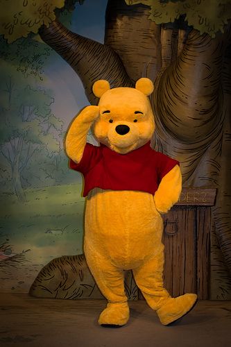 Winnie The Pooh Mascot, Disneyworld Pictures, Disneyland Friends, Pooh Characters, Pooh Pictures, Happy Thanksgiving Pictures, Cosplay Disney, Delhi Travel, Disney Photo Ideas