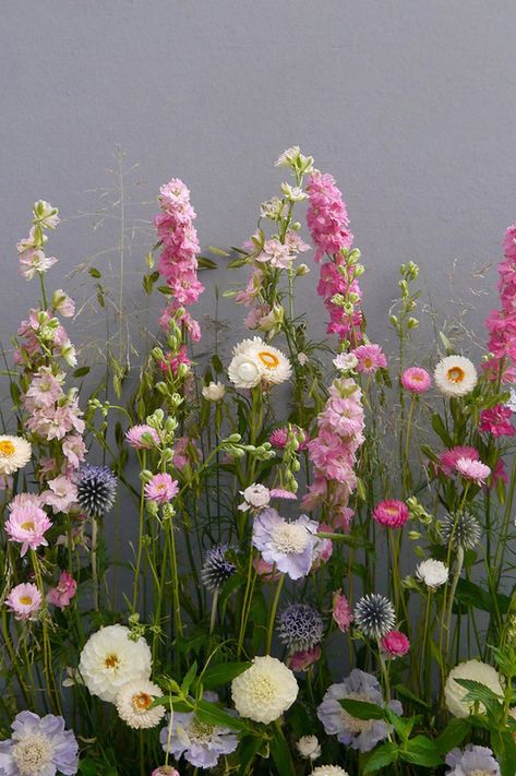 British Spring Flowers, English Spring Flowers, English Flower Bouquet, British Garden Flowers, Wild Spring Flowers, British Summer Flowers, British Flower Garden, Meadow Flower Arrangement, English Wedding Flowers