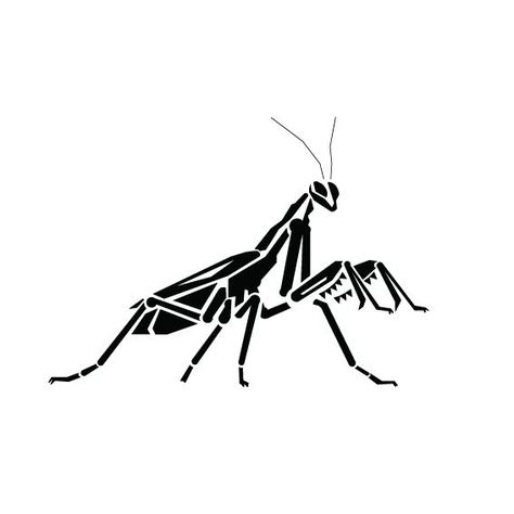 pray mantis line drawing - Google Search. Praying MantisLine DrawingsTattoo  Ideas Pray Mantis, Pray Tattoo, Mantis Tattoo, Stippling Tattoo, 42 Tattoo, Simple Tattoos For Guys, Insect Tattoo, Western Tattoos, Tattoo Style Drawings