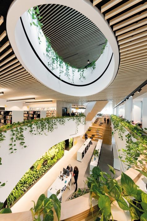 At Woollahra Library in Double Bay, Sydney, the focus is just as much on people as it is about books. Designed by BVN, it is a lively space for exploration and community connection. Narrow Hallway Decor, Australian Interior, Commercial And Office Architecture, Library Architecture, Australian Interior Design, Library Images, Interior Design Awards, Hospital Design, About Books