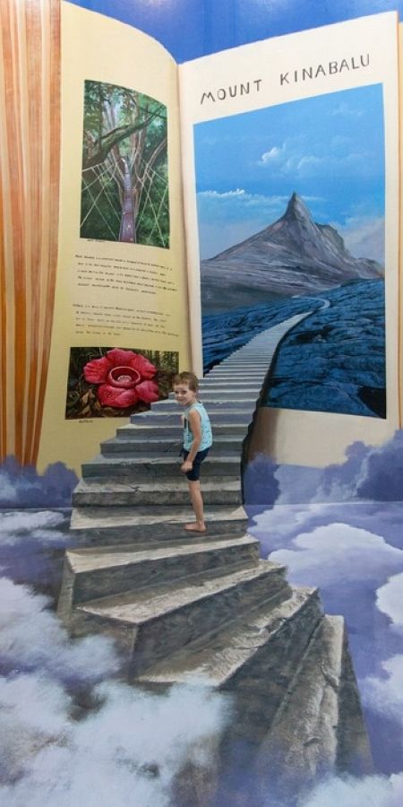 3d Art Museum, Langkawi Malaysia, 3d Painting, Tropical Island, Diy Art Painting, Art Display, Lush Green, Surreal Art, Book Crafts