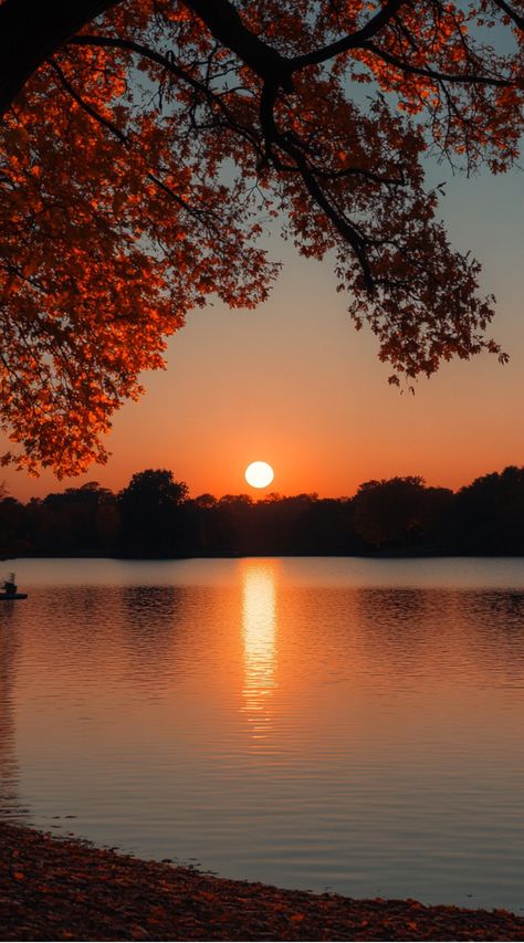 Sunset over a calm lake with autumn leaves framing the view. Fall Wallpaper For Android, Fall Sunset Wallpaper, Elegant Phone Wallpaper, Beautiful Fall Scenery, Fall Iphone Wallpapers, Nature Wallpaper Iphone, Free Fall Wallpaper, Moving Wallpapers, Rustic Pumpkin