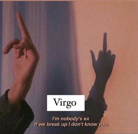 Virgo dating Dating A Virgo, Sunset Love Quotes, Insulting Quotes, Insta Bio Quotes, Virgo Memes, Friendship Photography, Virgo Girl, I Dont Know You, Friendship Songs