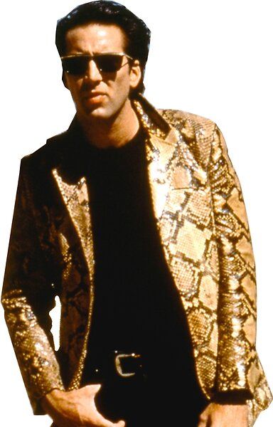 Nicolas Cage Movies, Alison Lohman, Snakeskin Jacket, Leaving Las Vegas, Elisabeth Shue, Rachel Nichols, Wild At Heart, Nicolas Cage, Power To The People