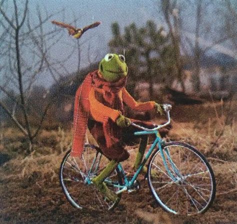 Jim Henson Aesthetic, Muppet Outfit, Muppet Fashion, Muppets Aesthetic, Kermit Costume, Muppet Party, Jim Henson Puppets, Fall Playlist, Playlist Covers Photos