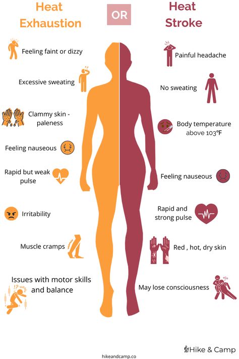 Know the differences! How To Prevent Heat Exhaustion, Heat Exhaustion Remedies, Heat Exhaustion Symptoms, Exhaustion Remedies, Heat Intolerance, Exhaustion Symptoms, High Protein Drinks, Healthy Community, Feeling Faint