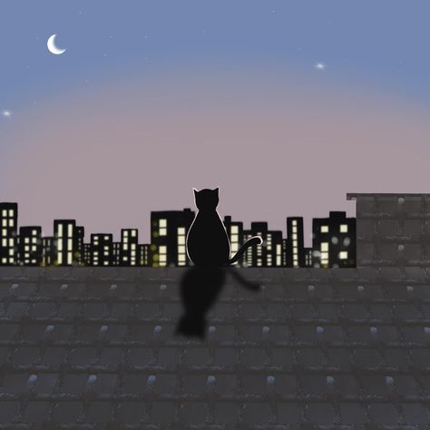 CHOOOTAH on Instagram: "A cat and the city of light. Learning to draw by watching YouTube @olivechoi2020, thank you for sharing🐱 #choootah #choootahillustrator…" City Lights Drawing, City Night Drawing, Night Drawing, Learning To Draw, City Night, Cat Drawing, City Life, Learn To Draw, City Lights